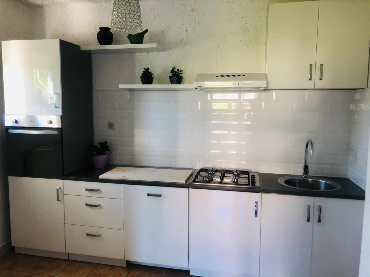 Apartments Smirnov Drežnik Grad Εξωτερικό φωτογραφία