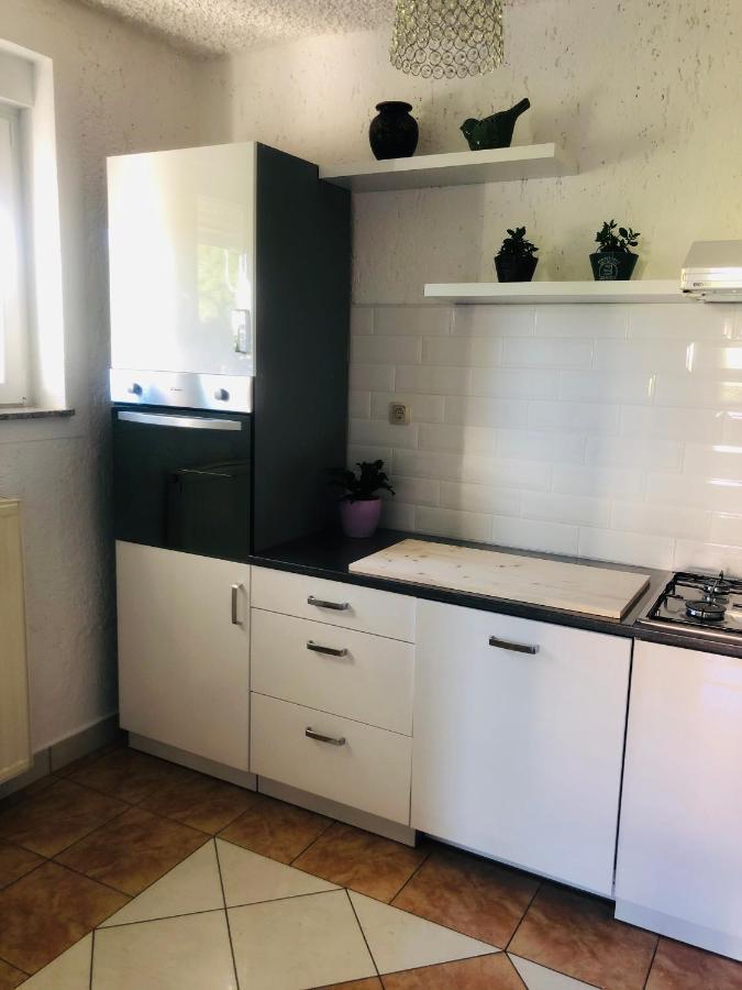 Apartments Smirnov Drežnik Grad Εξωτερικό φωτογραφία