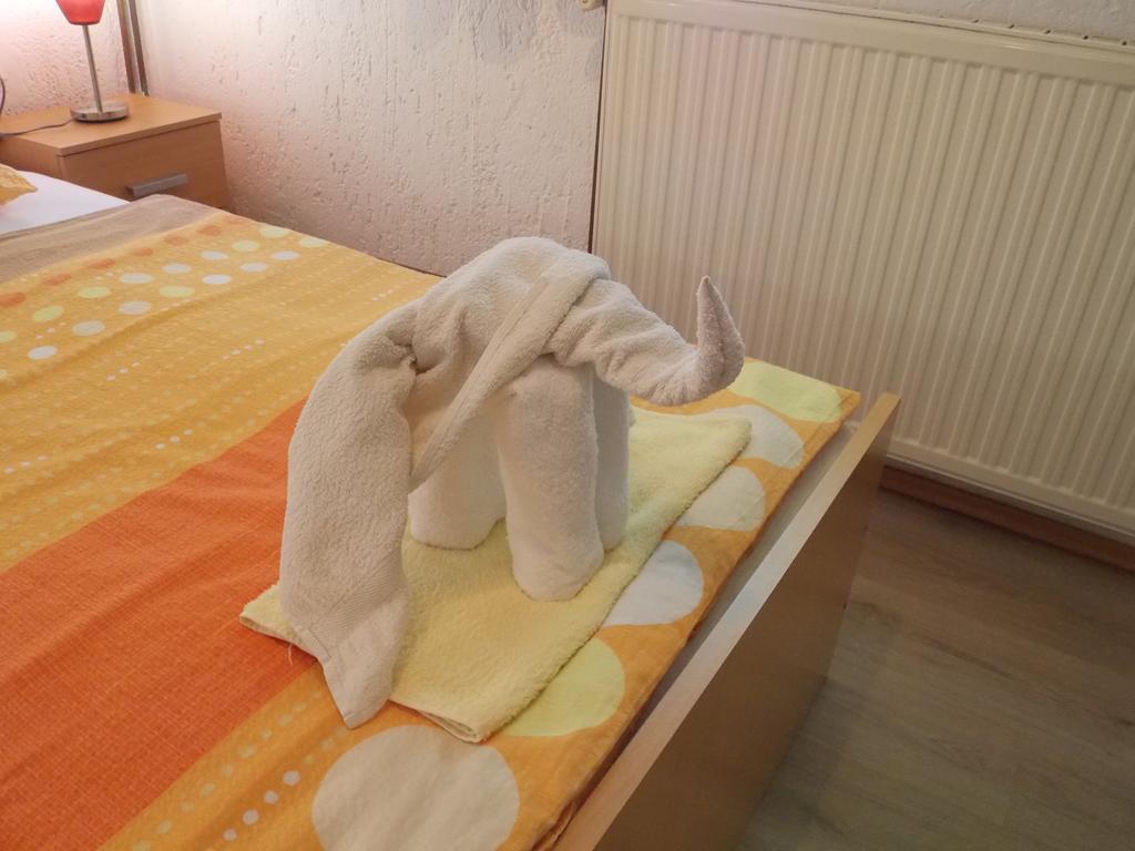 Apartments Smirnov Drežnik Grad Εξωτερικό φωτογραφία