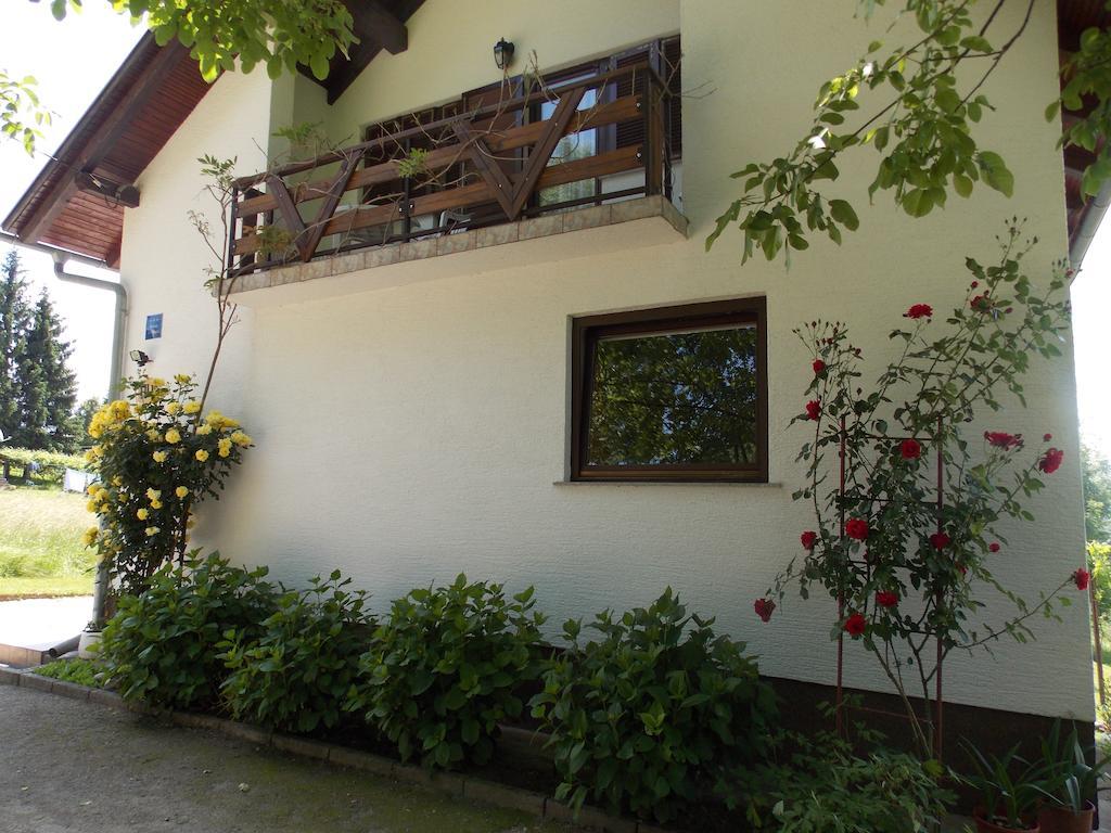 Apartments Smirnov Drežnik Grad Εξωτερικό φωτογραφία